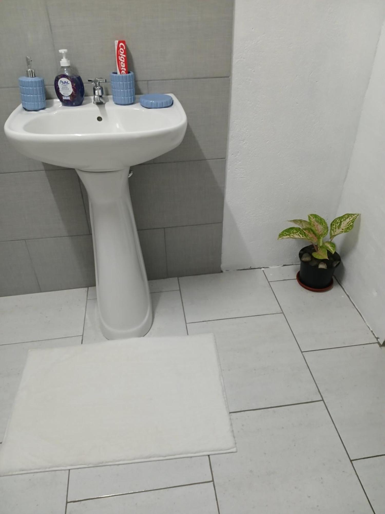 Natrue'S Haven Bed & Breakfast Marigot Dış mekan fotoğraf