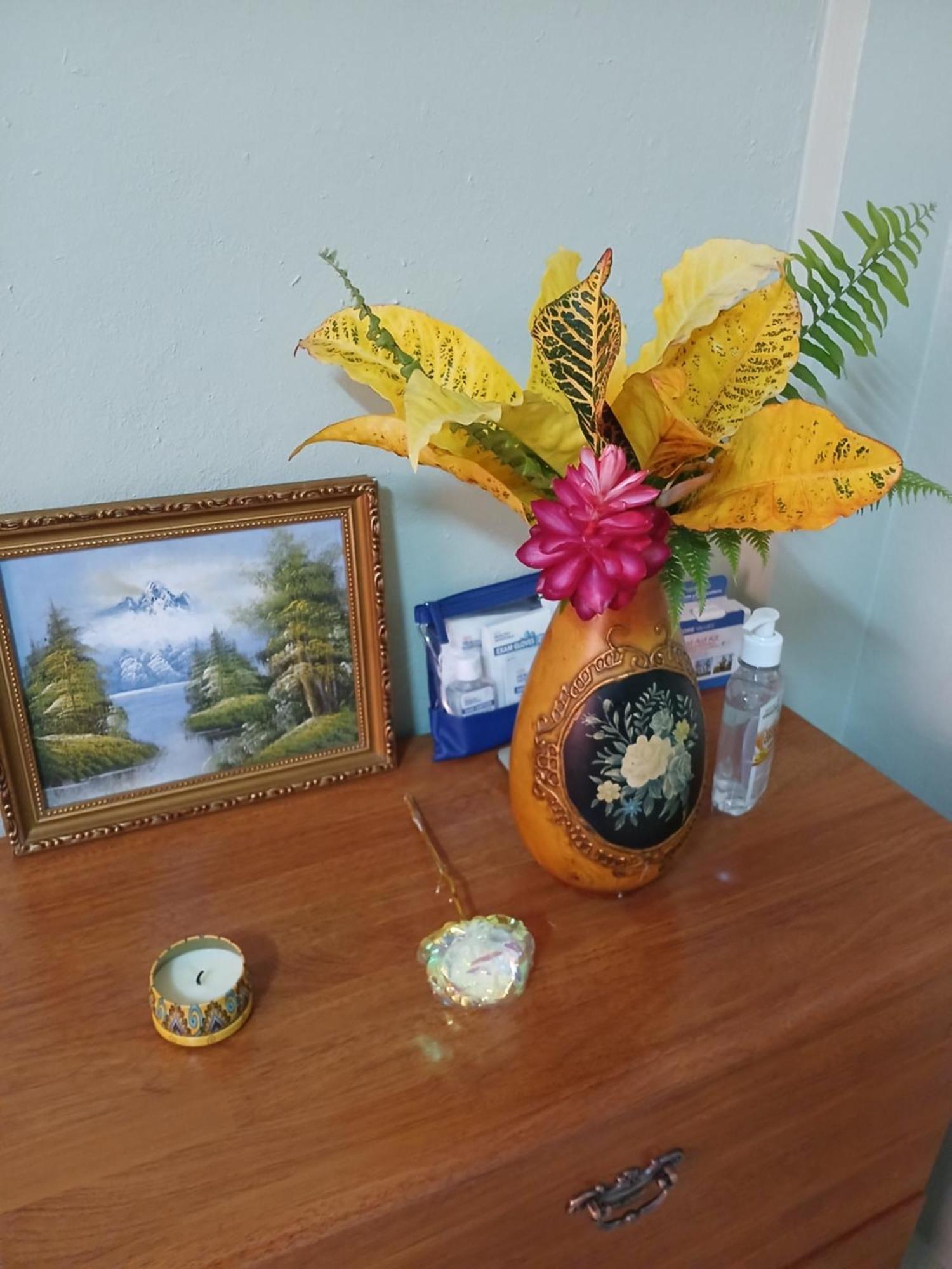 Natrue'S Haven Bed & Breakfast Marigot Dış mekan fotoğraf